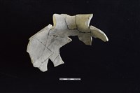 陶罐藏品圖，第2張